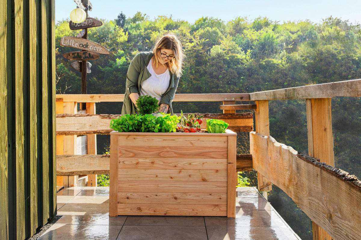 VYVÝŠENÝ ZÁHON   - farba smrekovca, Basics, drevo (65/66/100cm)
