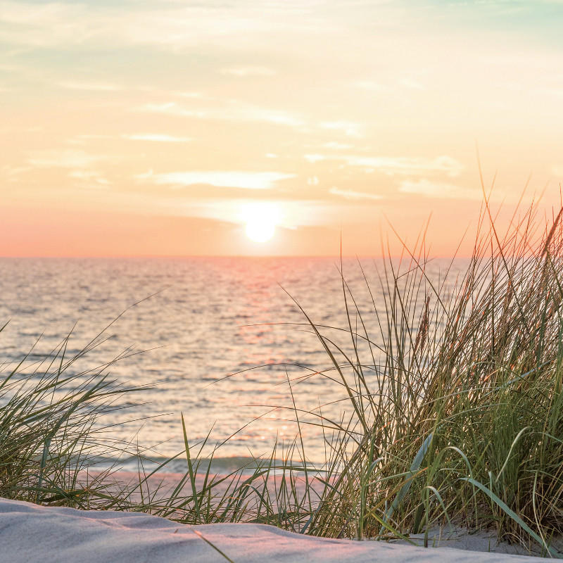 GLASBILD Strand & Meer  - Multicolor, KONVENTIONELL, Glas (20/20/1,40cm) - Euroart