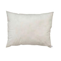 JASTUK 60/80 cm    - bijela, Konvencionalno, tekstil/plastika (60/80cm) - Boxxx