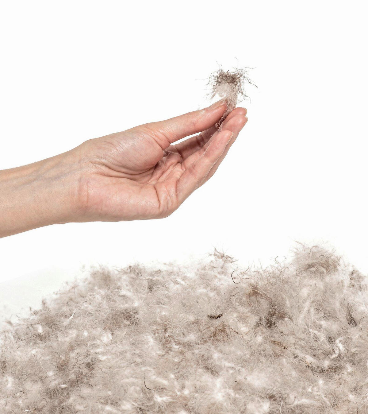 DAUNENDECKE 140/200 cm Alaska  - Weiß, Basics, Textil (140/200cm) - HEFEL