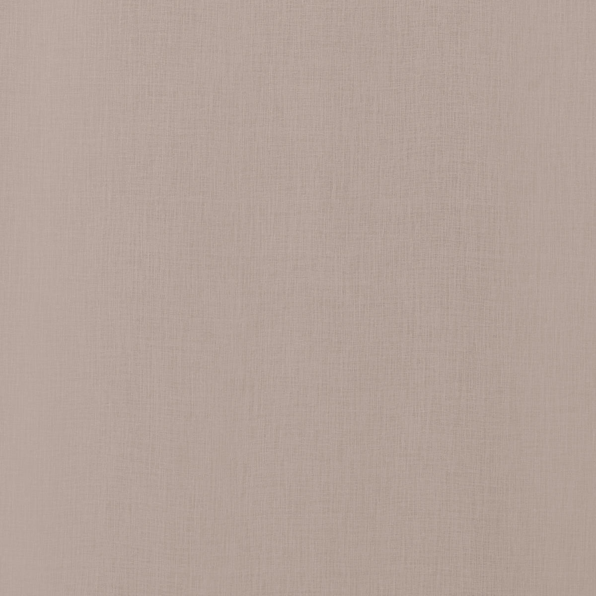 FERTIGVORHANG transparent  - Taupe, Basics, Textil (140/245cm) - Boxxx