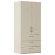 DREHTÜRENSCHRANK 101/223/61 cm,  in Champagner, 2-türig  - Edelstahlfarben/Champagner, Basics, Holzwerkstoff/Metall (101/223/61cm) - Novel