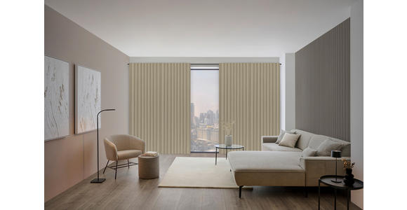 FERTIGVORHANG blickdicht  - Taupe, Design, Textil (140/260cm) - Dieter Knoll