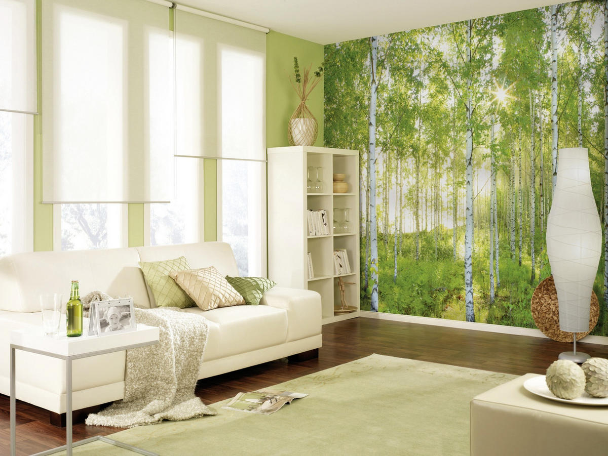 FOTOTAPETA velikost: 368/254 cm - bílá/barvy vlašských ořechů, Natur, papír (368/254cm)