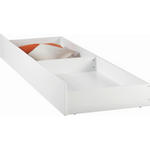 BETTKASTEN Weiß  - Weiß, KONVENTIONELL, Holzwerkstoff/Kunststoff (199/23/64cm) - Carryhome