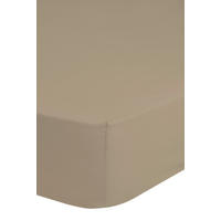 SPANNLEINTUCH 200/220 cm Jersey  - Sandfarben, Basics, Textil (200/220cm) - MID.YOU