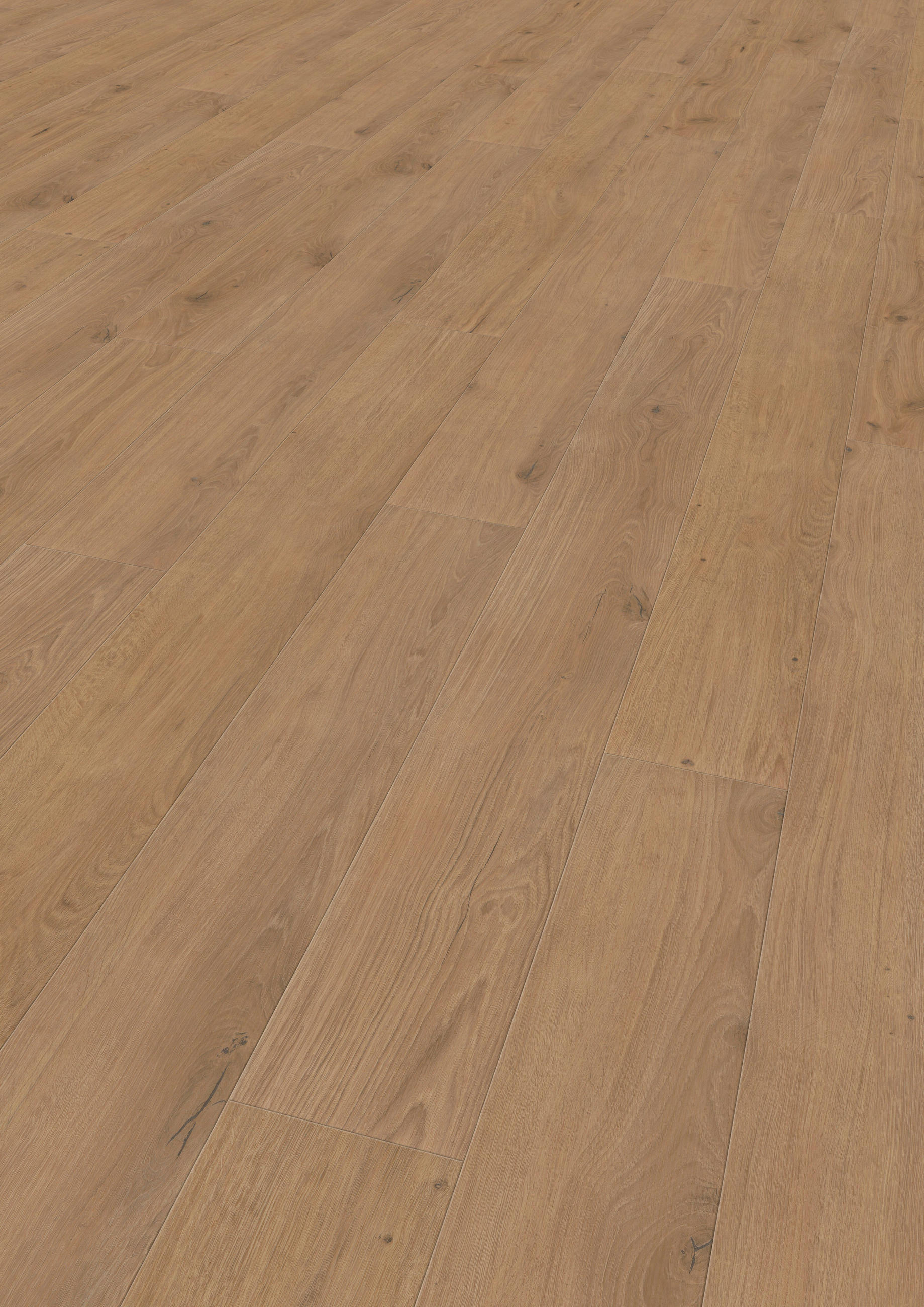 VINYLBODEN Elito Trend Eiche Champagne 100005701  per  m² - Design, Holz (220/21,6/1cm) - Tilo