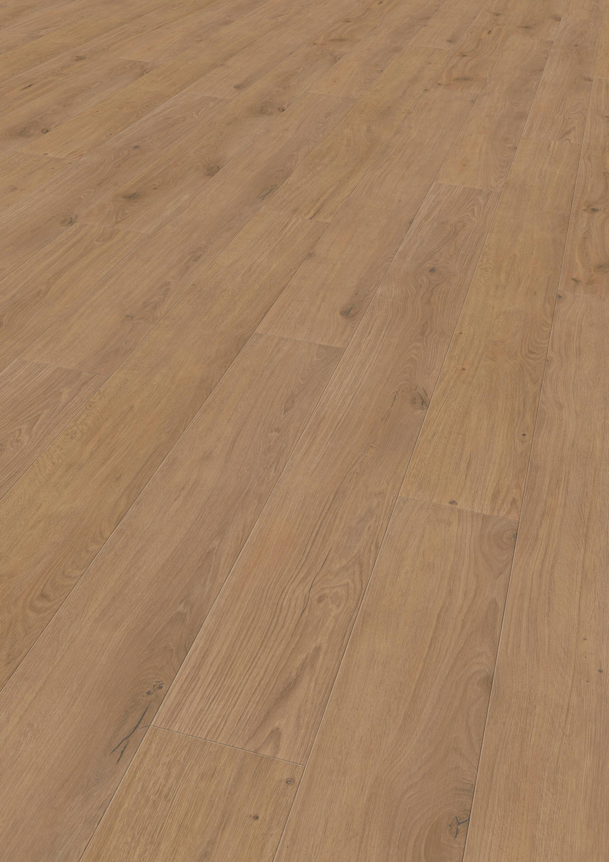 VINYLBODEN Elito Trend Eiche Champagne 100005701  per  m² - Design, Holz (220/21,6/1cm) - Tilo