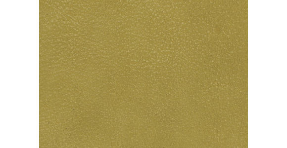 WOHNLANDSCHAFT in Echtleder Hellgrün - Schwarz/Hellgrün, Natur, Leder/Metall (155/359/217cm) - Dieter Knoll