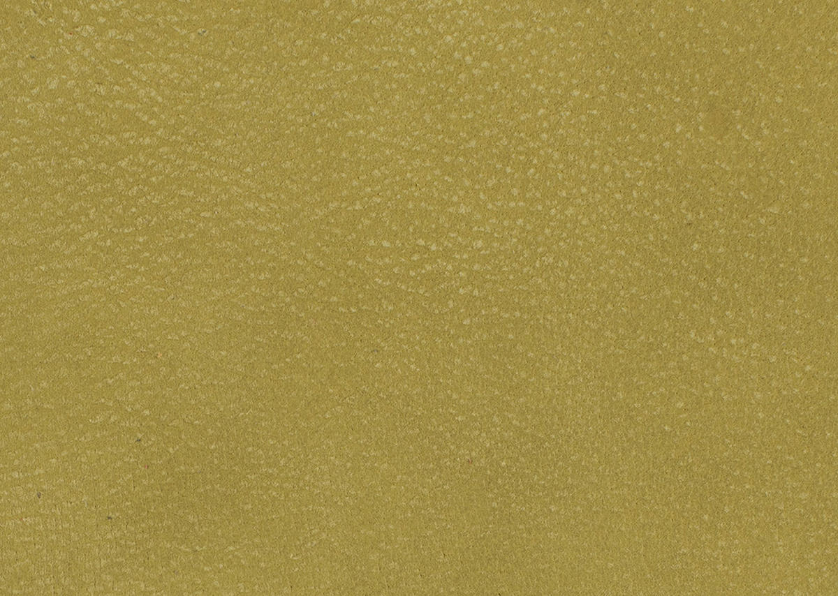 WOHNLANDSCHAFT in Echtleder Hellgrün  - Schwarz/Hellgrün, Natur, Leder/Metall (155/359/217cm) - Dieter Knoll