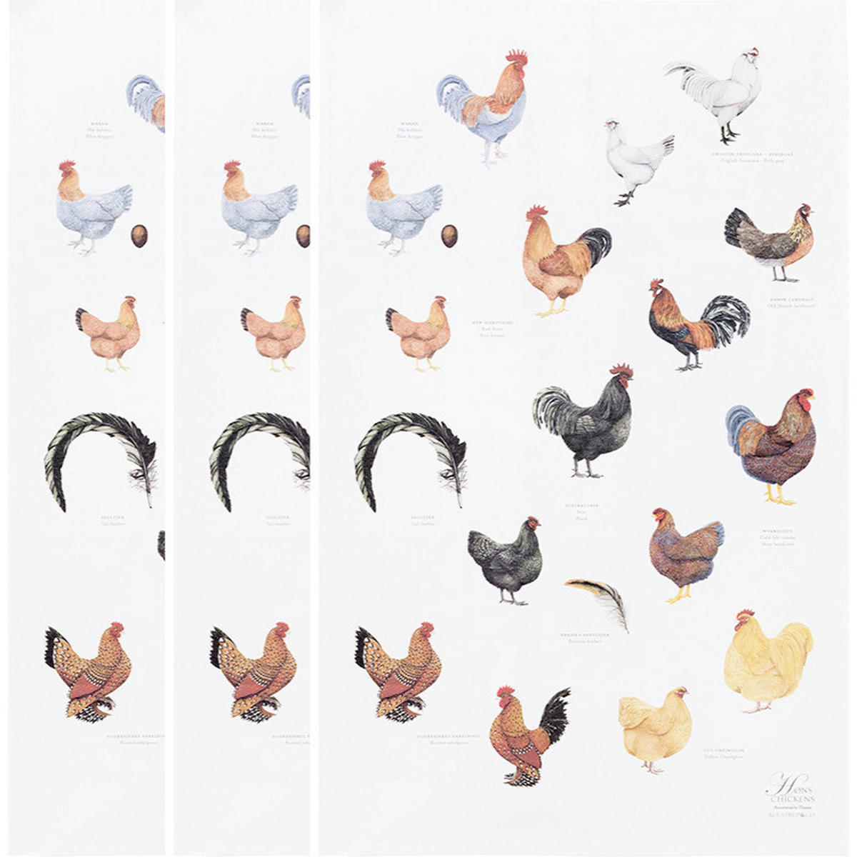 GESCHIRRTUCH-SET 3-teilig Multicolor  - Multicolor, Basics, Textil (50/70cm)