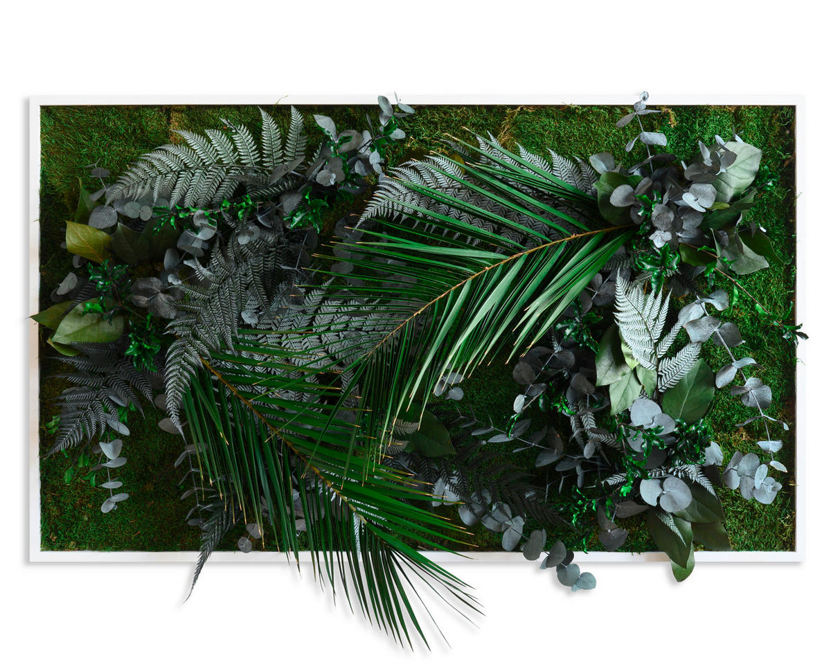 MOOSBILD Stylegreen  - Weiß/Grün, Basics, Naturmaterialien/Holz (100/60/18-22cm)