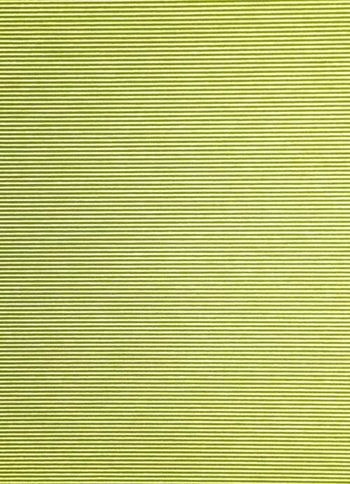 FLÄCHENVORHANG   transparent   60/245 cm  - Limette, Basics, Textil (60/245cm)