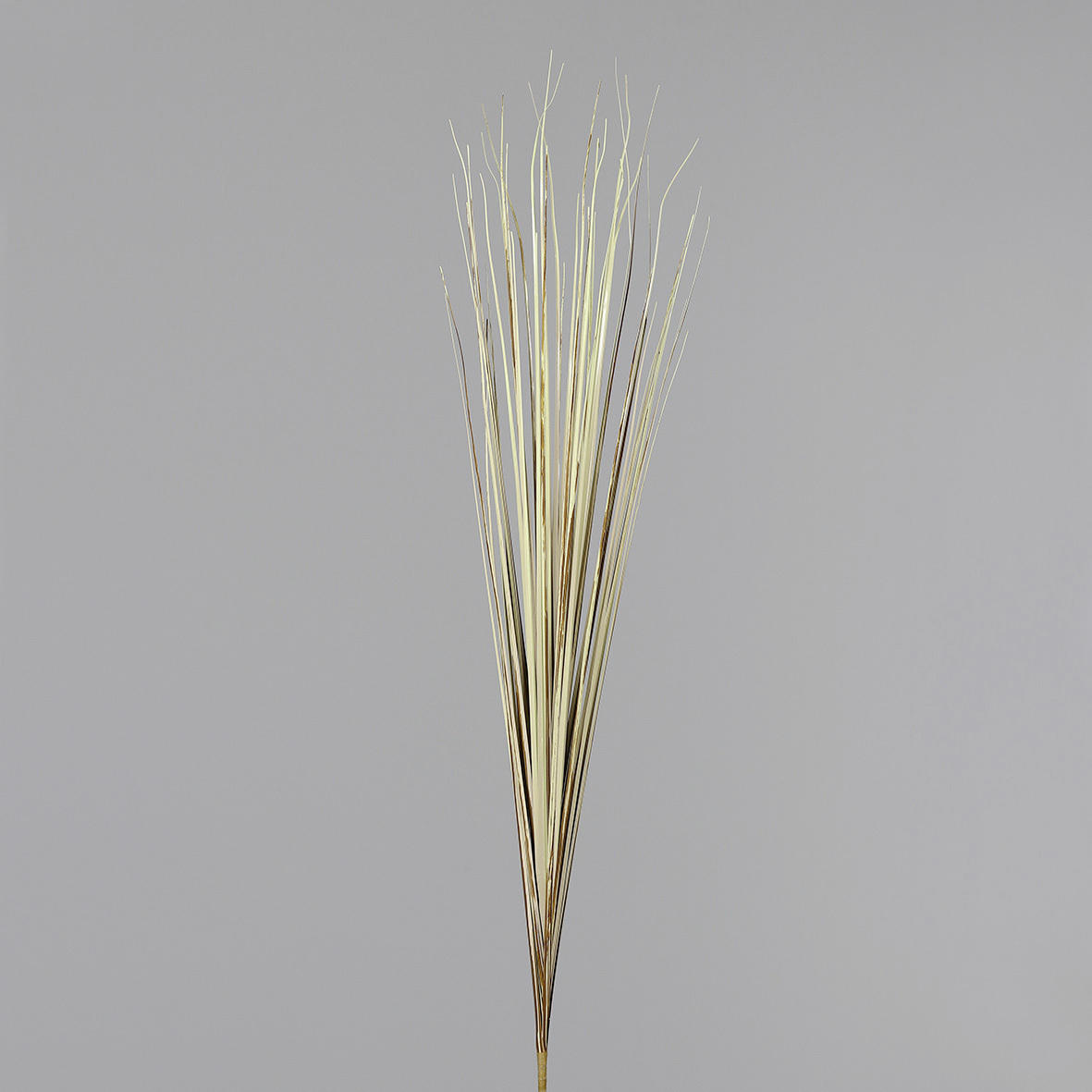 DEKORAČNÍ VĚTVIČKA bezosetka 85 cm - pískové barvy, Basics, plast (85cm)