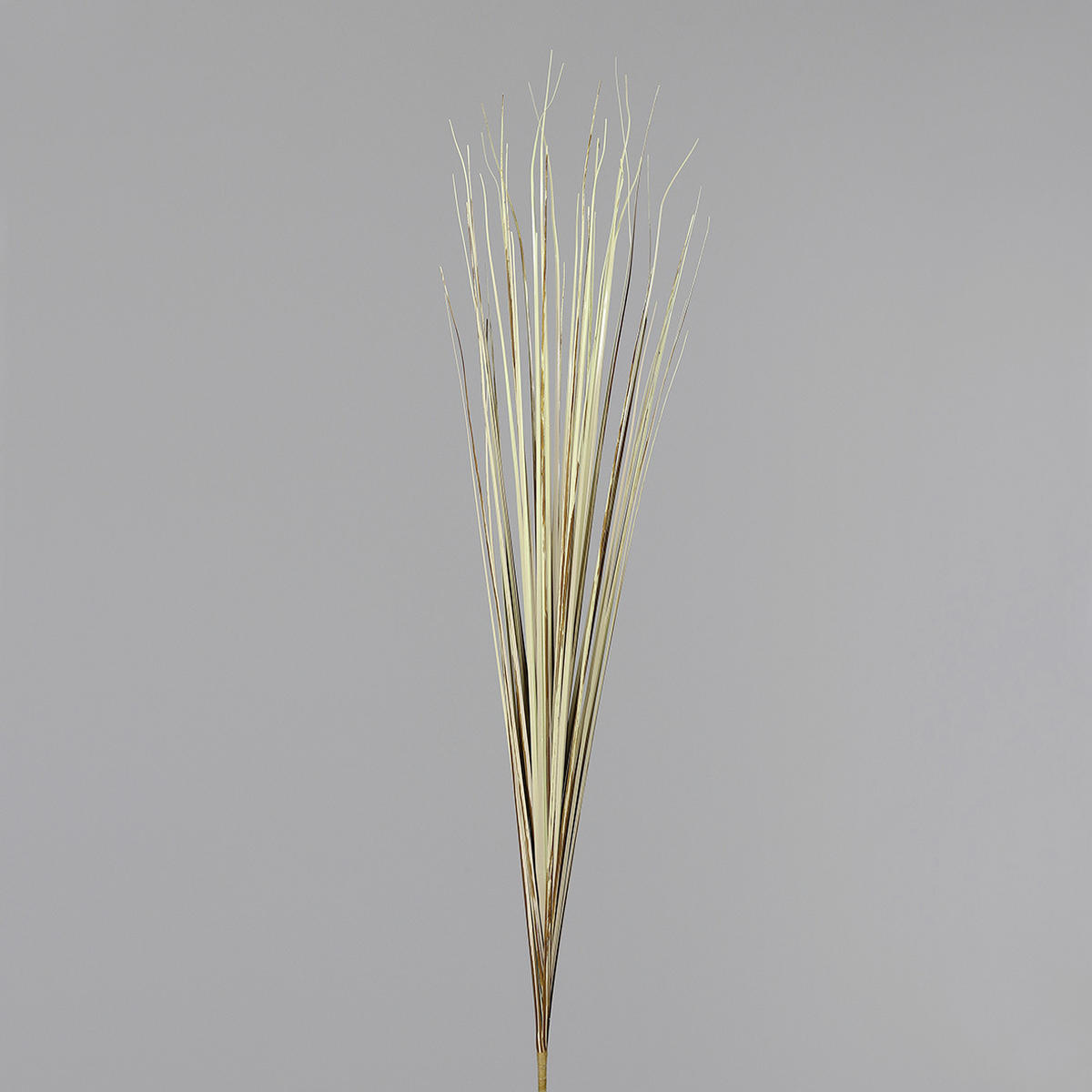 DEKORAČNÍ VĚTVIČKA bezosetka 85 cm - pískové barvy, Basics, plast (85cm)