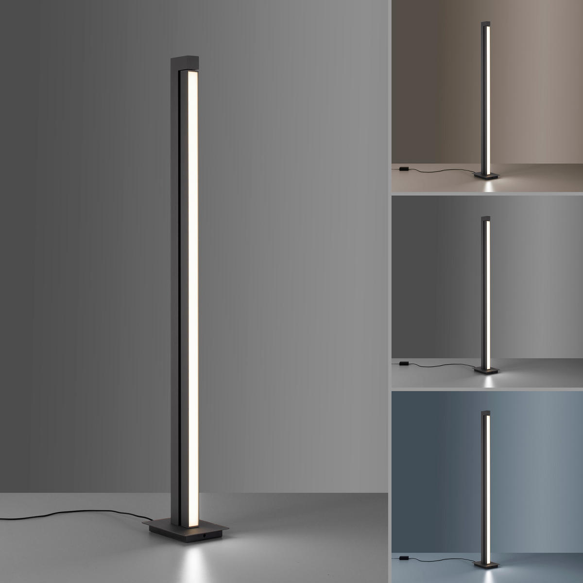 LED-STEHLEUCHTE    - Anthrazit, Design, Kunststoff/Metall (140cm) - Neuhaus PURE