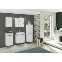 SPIEGELSCHRANK 60/66/20 cm  - Edelstahlfarben/Weiß, KONVENTIONELL, Glas/Holzwerkstoff (60/66/20cm) - Xora