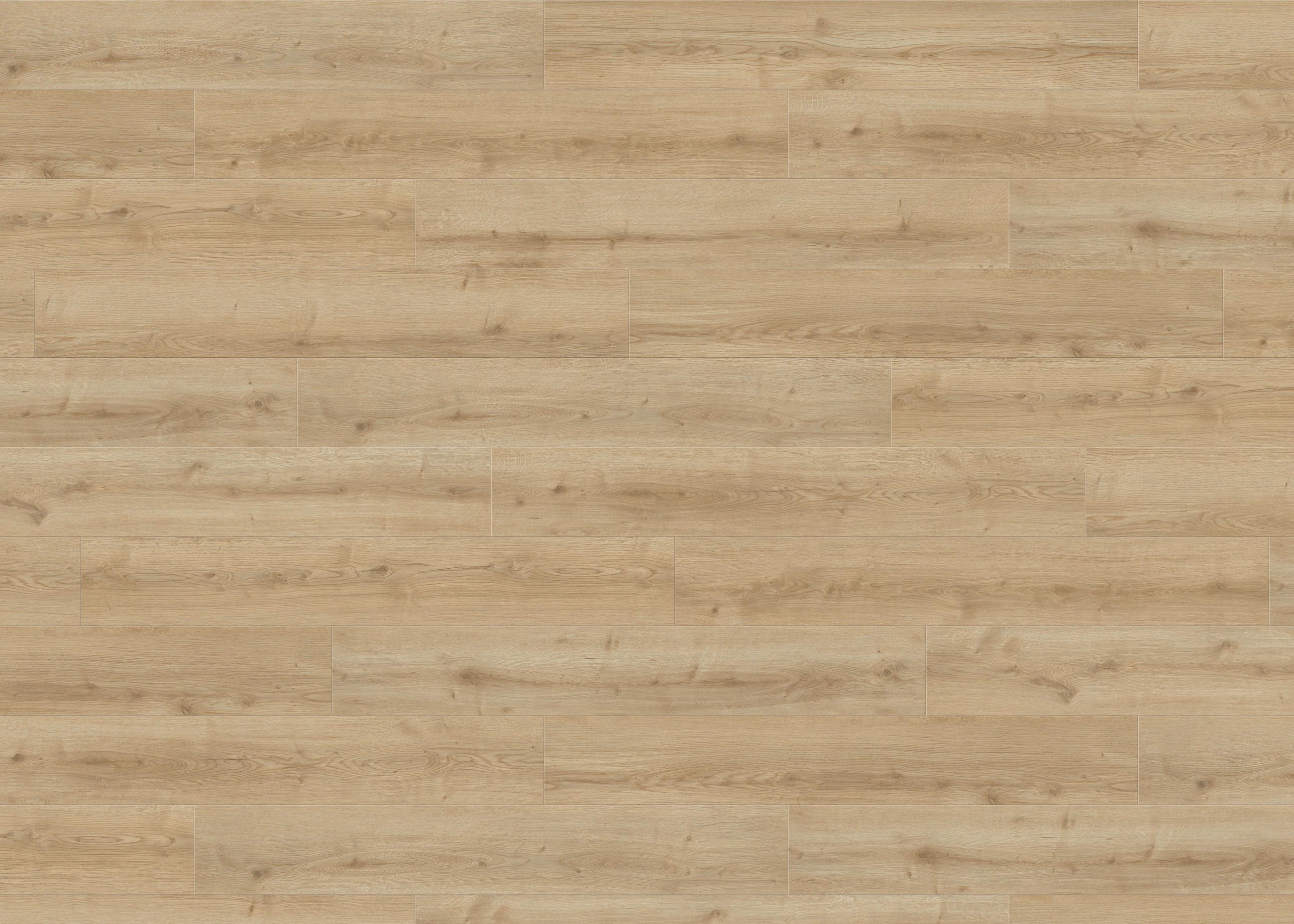 DESIGNBODEN Living by HARO Designboden PowerStar  per  m² - Hellbraun, Basics, Holzwerkstoff (19.3/128.2cm) - Living by HARO