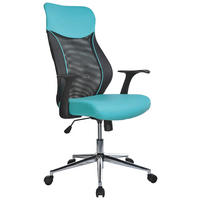 Scaun birou tineret - turcoaz/negru, Design, plastic/metal (62/110-120/65cm) - Carryhome