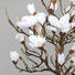 KUNSTBLUME Magnolie - Weiß/Braun, Trend, Kunststoff (120cm) KUNSTBLUME Magnolie - Weiß/Braun, Trend, Kunststoff (120cm)
