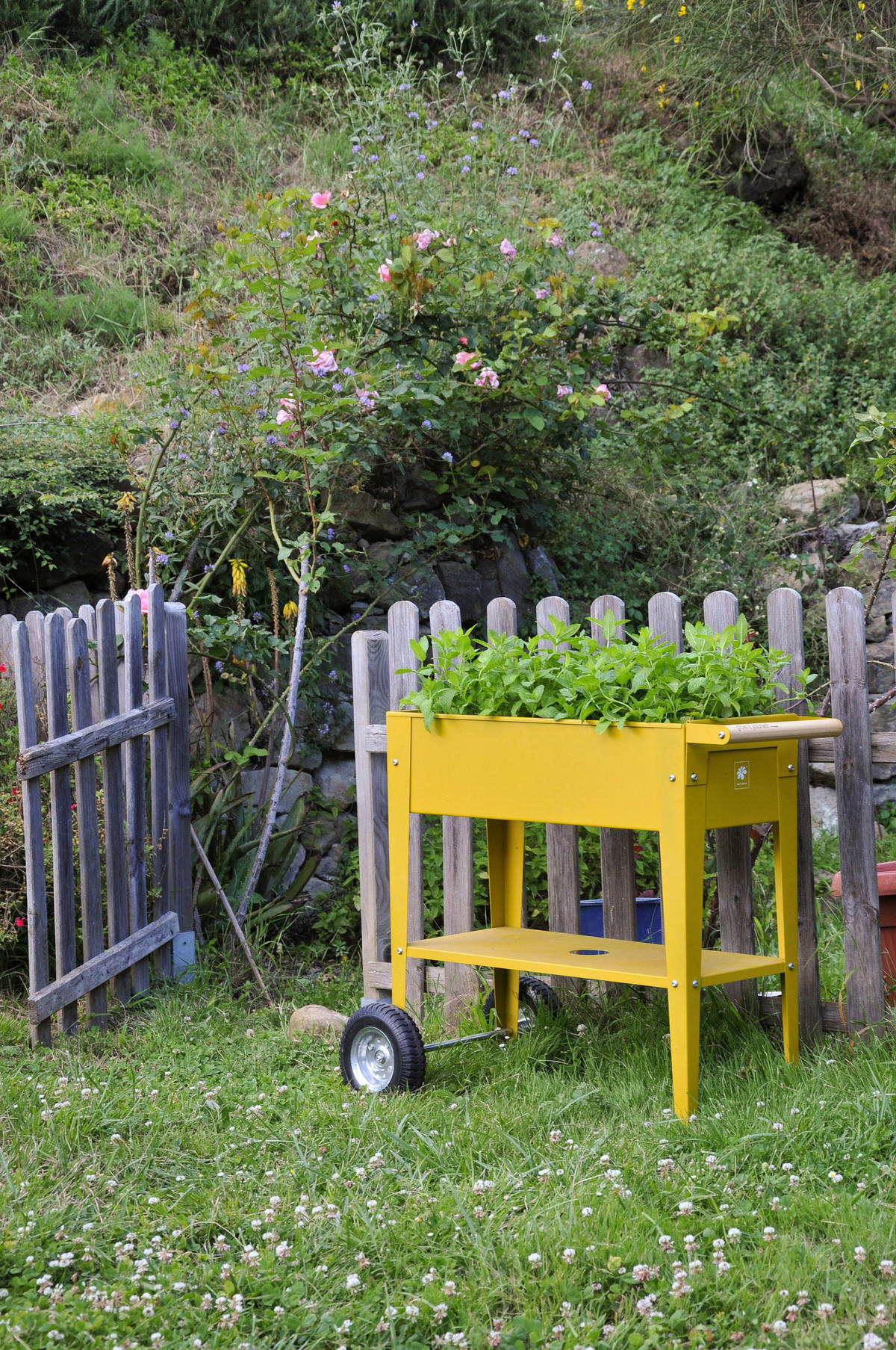 HOCHBEET  - Gelb, Basics, Metall (35/80/75cm) - Ambia Garden