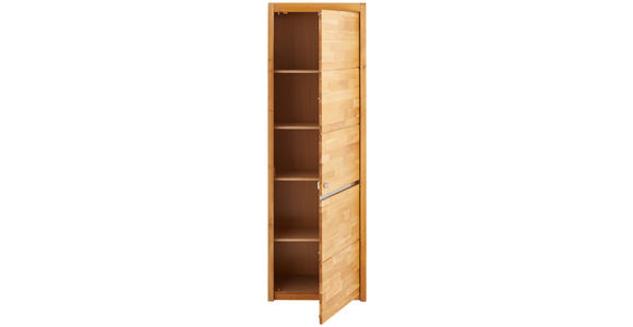 AKTENSCHRANK 65/201/41 cm - Wildeiche/Edelstahlfarben, KONVENTIONELL, Holz/Holzwerkstoff (65/201/41cm) - Linea Natura