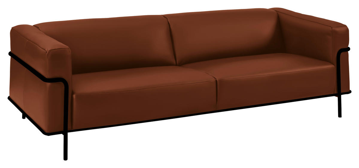 3-SITZER-SOFA in Echtleder Braun  - Schwarz/Braun, Design, Leder/Metall (236/67/96cm) - Johann Jakob