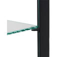 VITRINE  in Schwarz, Transparent  - Transparent/Schwarz, Basics, Glas/Metall (45/180/40cm) - Xora