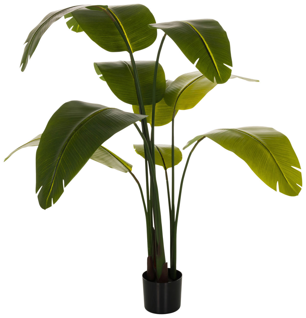 KUNSTPFLANZE  - Schwarz/Grün, Basics, Kunststoff (60/170/60cm) - MID.YOU