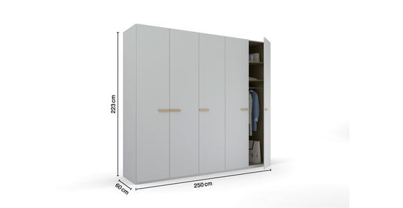 DREHTÜRENSCHRANK 251/223/60 cm 5-türig Grau - Grau, Trend, Holz/Holzwerkstoff (251/223/60cm) - Novel