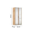 DREHTÜRENSCHRANK 101/223/60 cm 2-türig Sonoma Eiche  - Silberfarben/Sonoma Eiche, Design, Glas/Holzwerkstoff (101/223/60cm) - Novel