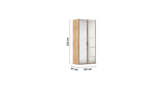 DREHTÜRENSCHRANK 101/223/60 cm 2-türig Sonoma Eiche - Silberfarben/Sonoma Eiche, Design, Glas/Holzwerkstoff (101/223/60cm) - Novel