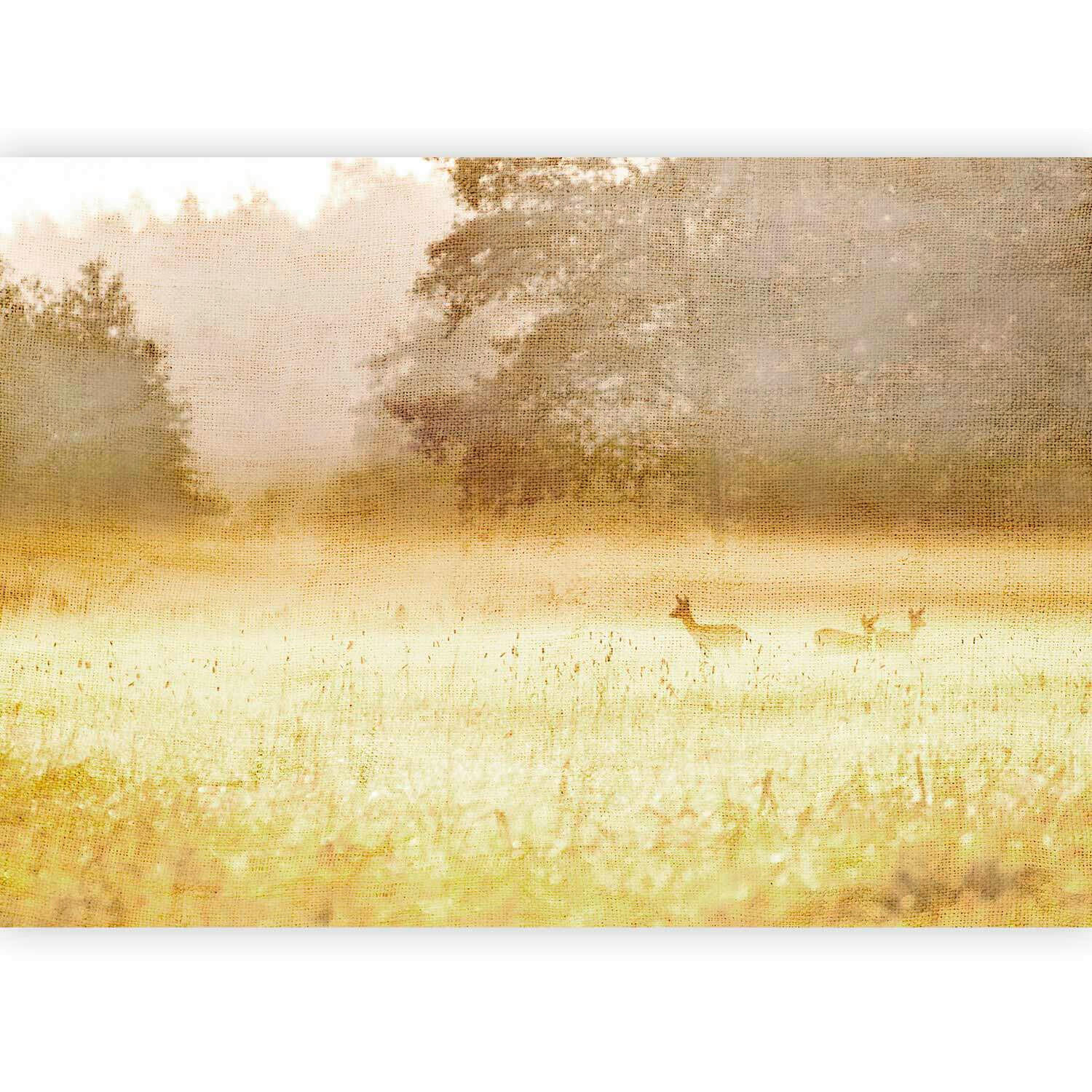 artgeist FOTOTAPETA velikost: 200/140 cm