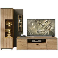 WOHNWAND  in Anthrazit, Eiche Artisan 280/205/49 cm  - Anthrazit/Schwarz, Design, Glas/Holzwerkstoff (280/205/49cm) - Stylife