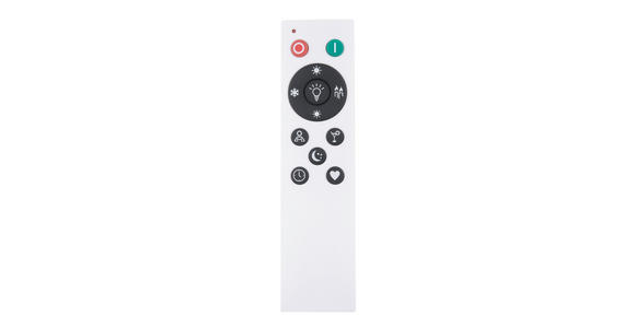 LED-HÄNGELEUCHTE 51 cm - Opal/Schwarz, LIFESTYLE, Kunststoff/Metall (51cm) - Novel