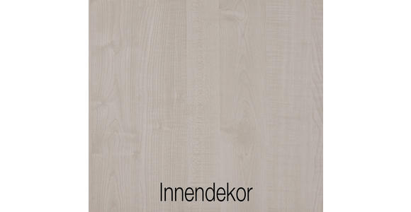 KLEIDERSCHRANK 300/216/58 cm 6-türig  - Schieferfarben/Grau, Design, Glas/Holzwerkstoff (300/216/58cm) - Novel