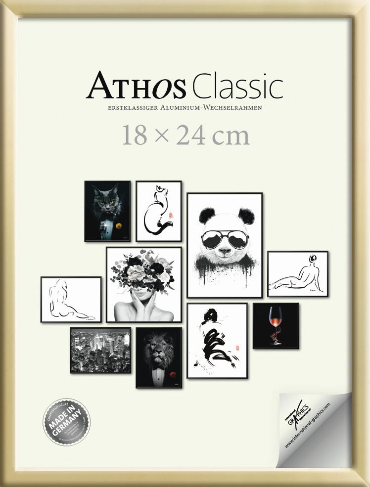 BILDERRAHMEN - Goldfarben, Basics, Papier/Holzwerkstoff (18/24/1,8cm)