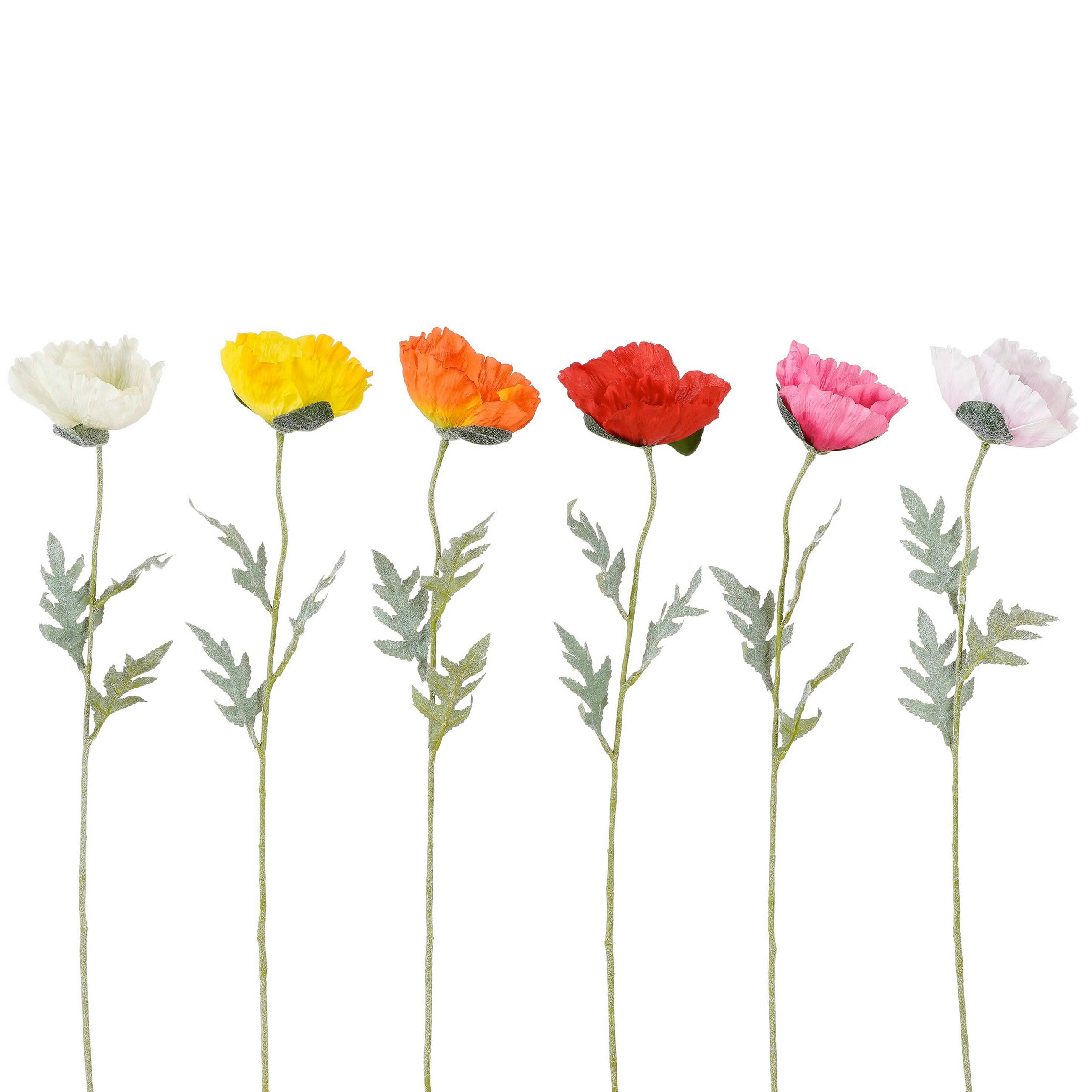 VALLMO - lila/orange, Basics (65cm)