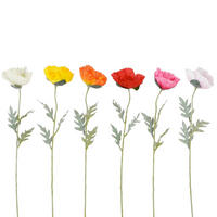 MAK  - narančasta/pink, Basics (65cm)