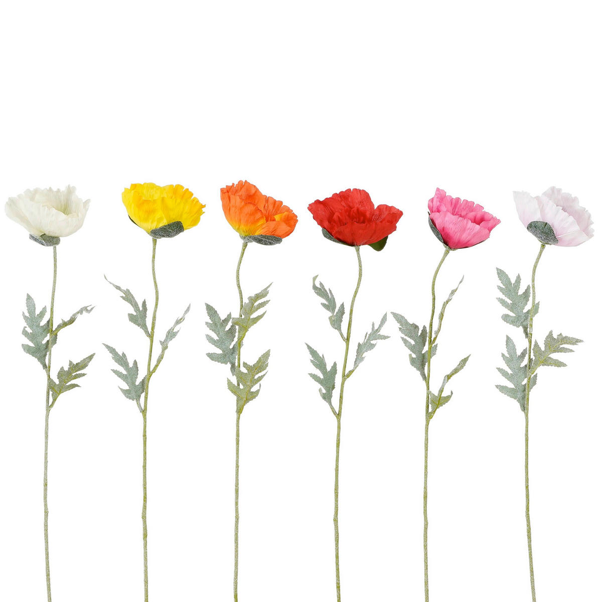 MAK  - narančasta/pink, Basics (65cm)