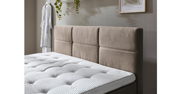BOXSPRINGBETT 180/200 cm in Taupe - Taupe/Eichefarben, KONVENTIONELL, Holz/Textil (180/200cm) - Carryhome