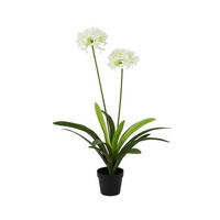 FLOARE ARTIFICIALĂ - Basics (80,00/80,00/105,00cm)