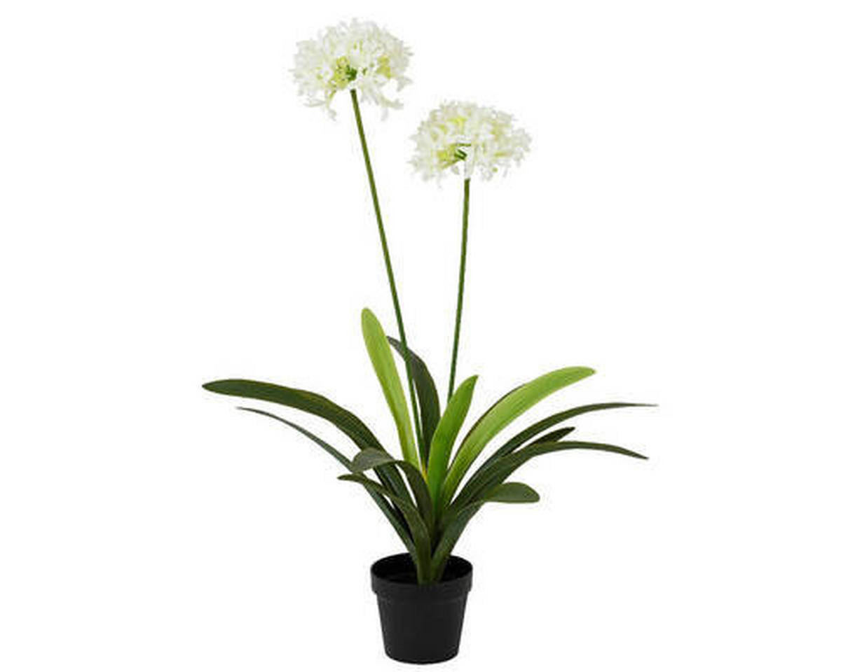 FLOARE ARTIFICIALĂ - Basics (80,00/80,00/105,00cm)