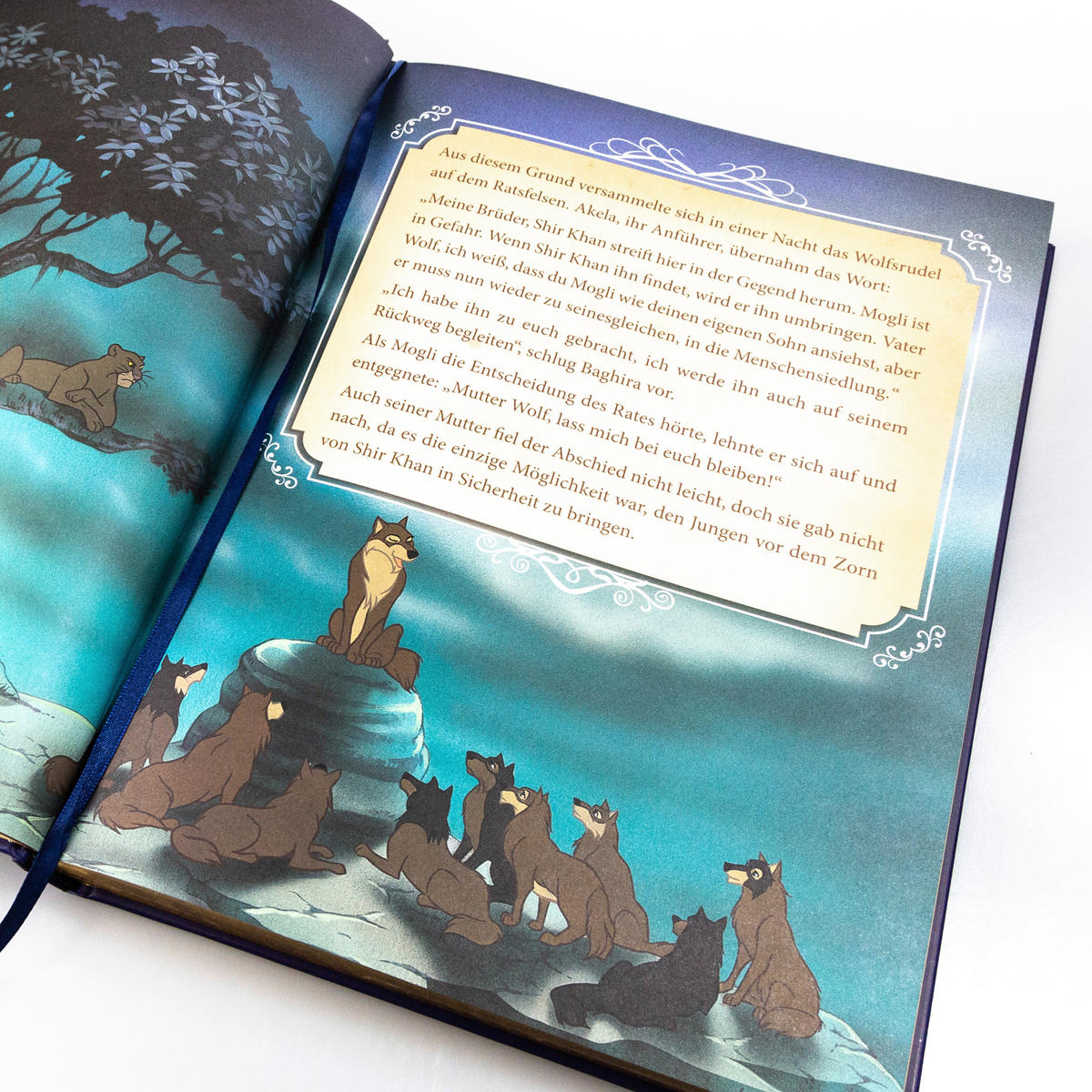 BUCH   Dunkelblau  - Dunkelblau, Basics (23.9/31.7/3.2cm) - Disney