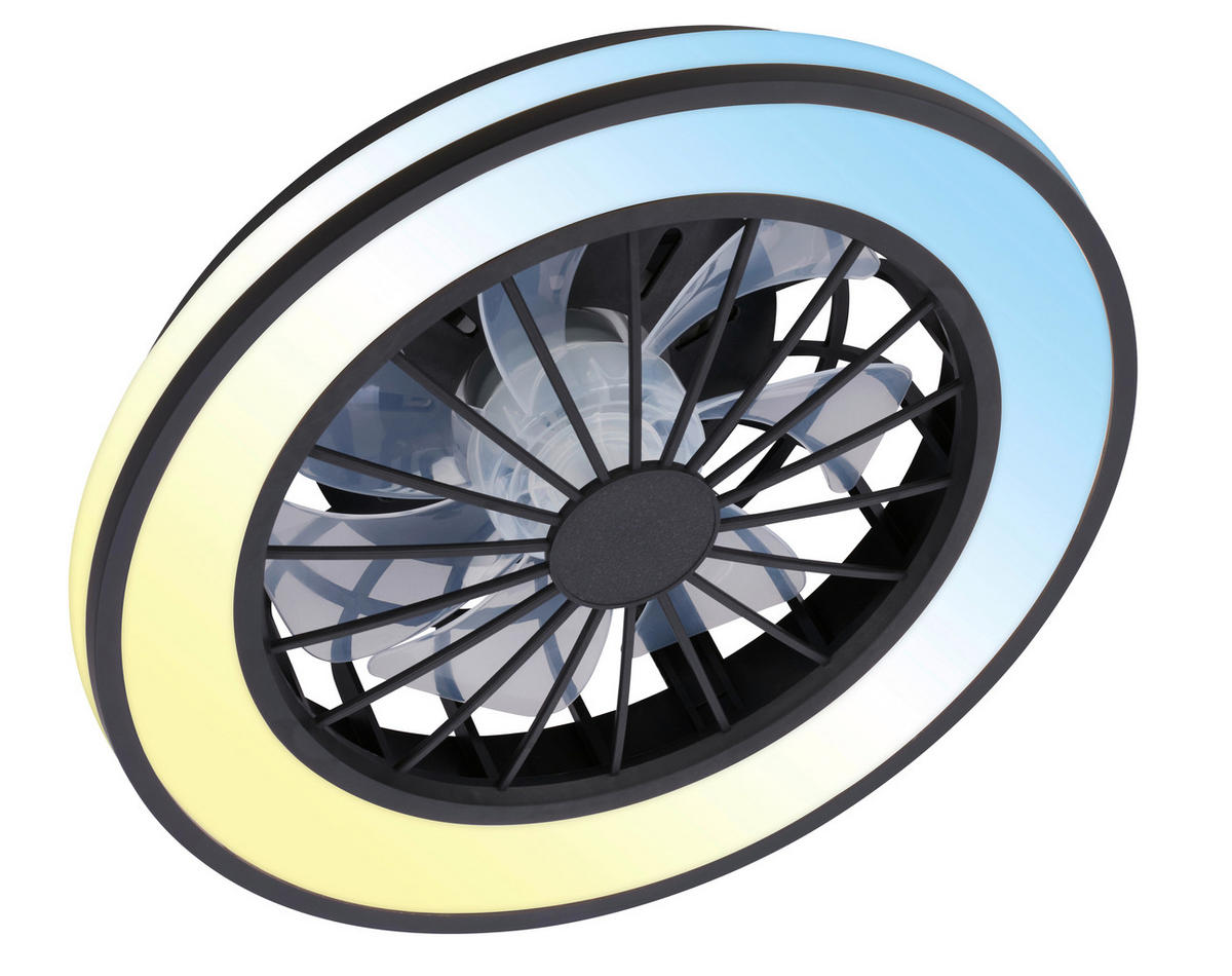 DECKENVENTILATOR 38/14 cm   - Schwarz/Weiß, Design, Kunststoff (38/14cm)