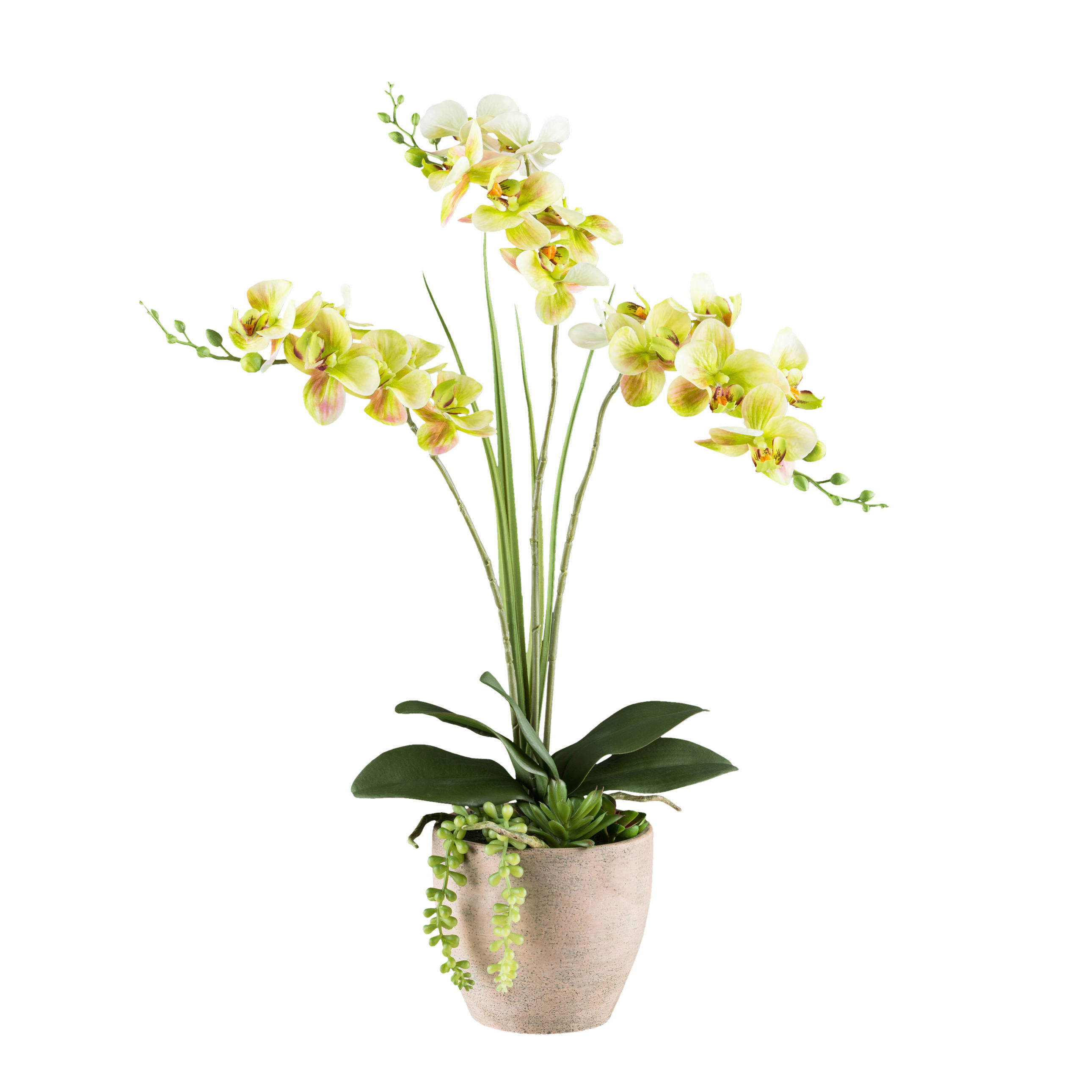 KUNSTPFLANZE Orchidee 55 cm  - Gelb/Braun, Design, Kunststoff/Stein (55cm) - P & B