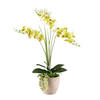 KUNSTPFLANZE Orchidee 55 cm  - Gelb/Braun, Design, Kunststoff/Stein (55cm) - P & B