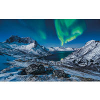 NON WOVEN-TAPET 400/250 cm  - Natur (400/250cm)