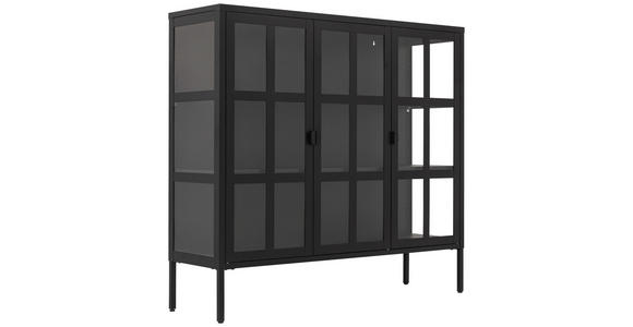 VITRINE in Schwarz - Schwarz, Design, Glas/Metall (120/110/35cm) - Xora