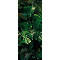 NON WOVEN-TAPET 100/250 cm  - grön, Basics (100/250cm) - Komar